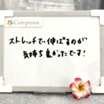 お客様の声～Cen-prana（センプラーナ）～成増駅徒歩2分の女性限定ほぐしストレッチ整体&マタニティマッサージ＆ハイパーナイフ
