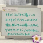 お客様の声～Cen-prana（センプラーナ）～成増駅徒歩2分の女性限定ほぐしストレッチ整体&マタニティマッサージ＆ハイパーナイフ