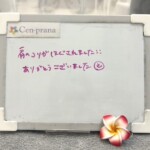 お客様の声~Cen-prana(センプラーナ)~成増駅徒歩2分の女性限定ほぐしストレッチ整体&マタニティマッサージ&ハイパーナイフ